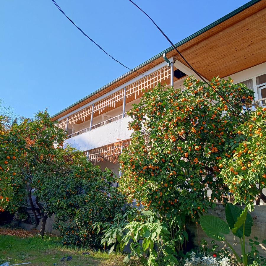 Inzhir Guest House New Athos Exterior foto