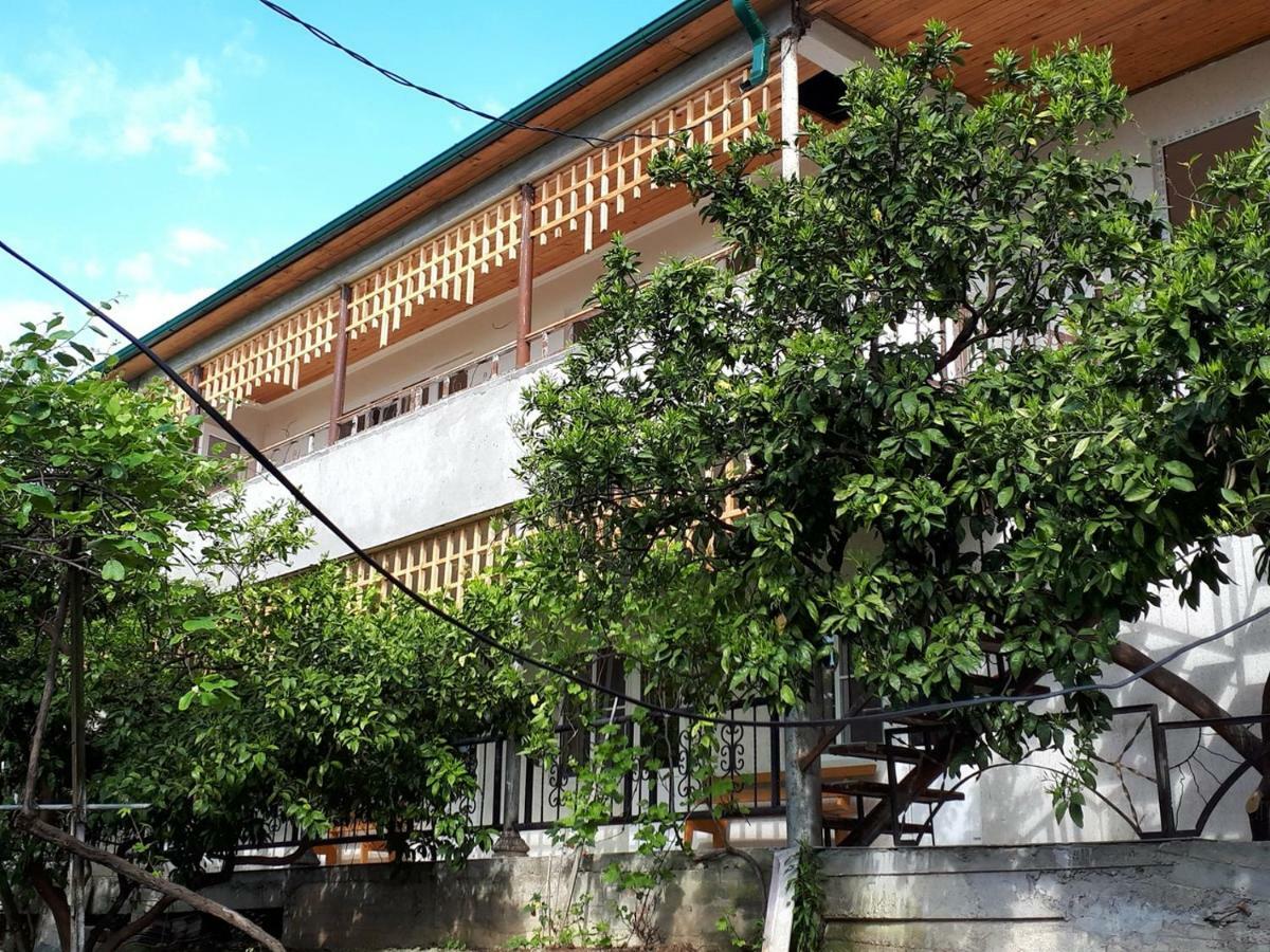 Inzhir Guest House New Athos Exterior foto